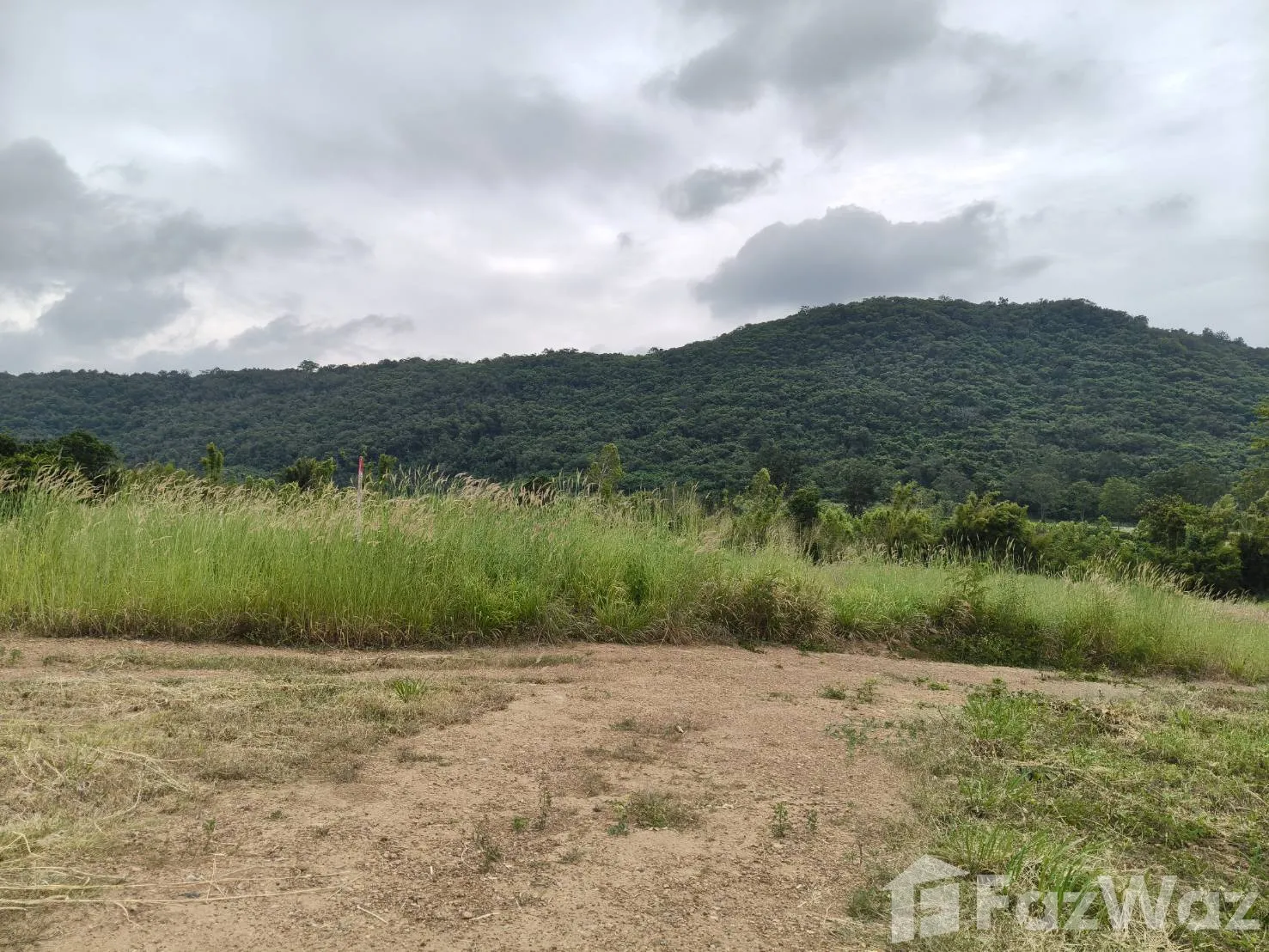 Land for sale in Nong Sarai Nakhon Ratchasima - Photo 20