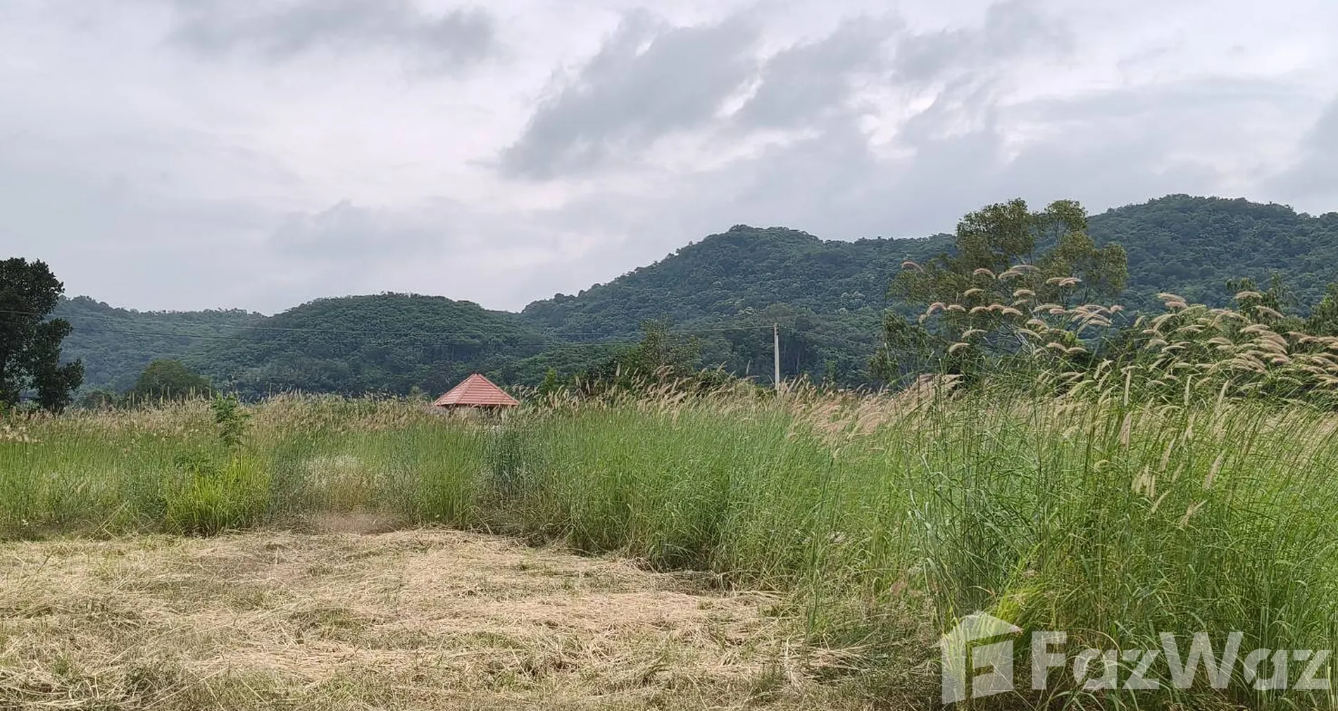 Land for sale in Nong Sarai Nakhon Ratchasima - Photo 3