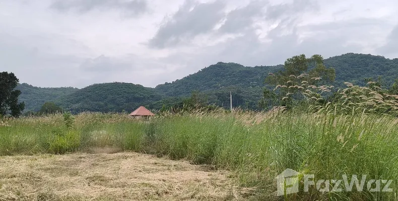 Land for sale in Nong Sarai Nakhon Ratchasima - Photo 4
