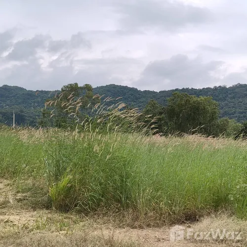 Land for sale in Nong Sarai Nakhon Ratchasima - Photo 6
