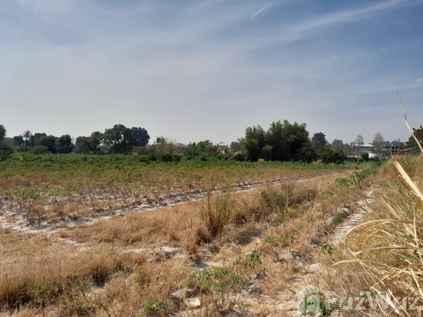 Land for sale in Huai Pong Rayong - Photo 15