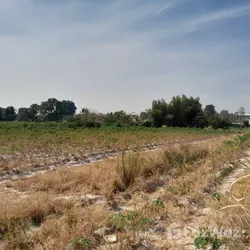 Land for sale in Huai Pong Rayong - Photo 9
