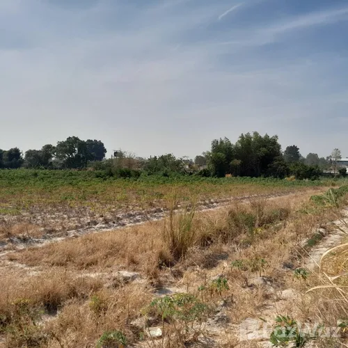 Land for sale in Huai Pong Rayong - Photo 10