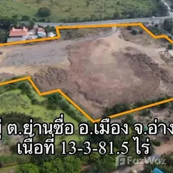 Land for sale in Yan Sue Ang Thong - Photo 11