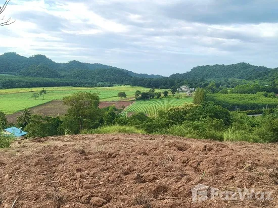 Land for sale in Pong Ta Long Nakhon Ratchasima