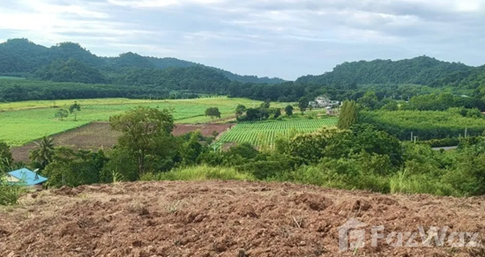 Land for sale in Pong Ta Long Nakhon Ratchasima - Photo 2