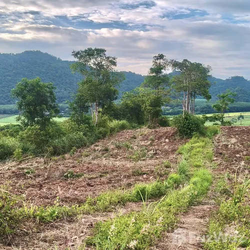 Land for sale in Pong Ta Long Nakhon Ratchasima - Photo 12