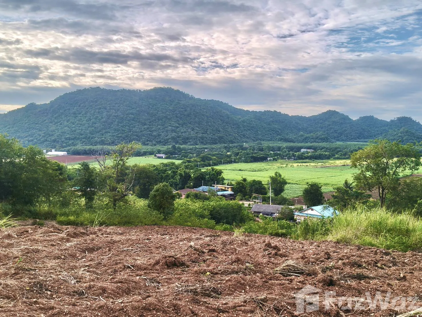 Land for sale in Pong Ta Long Nakhon Ratchasima - Photo 13