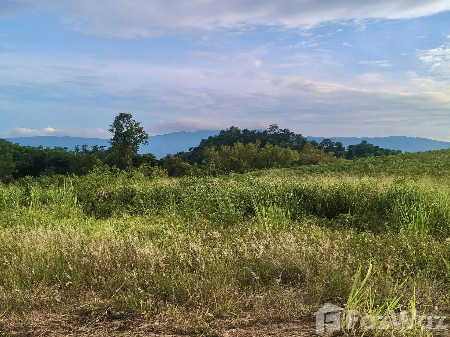 Land for sale in Pong Ta Long Nakhon Ratchasima - Photo 14