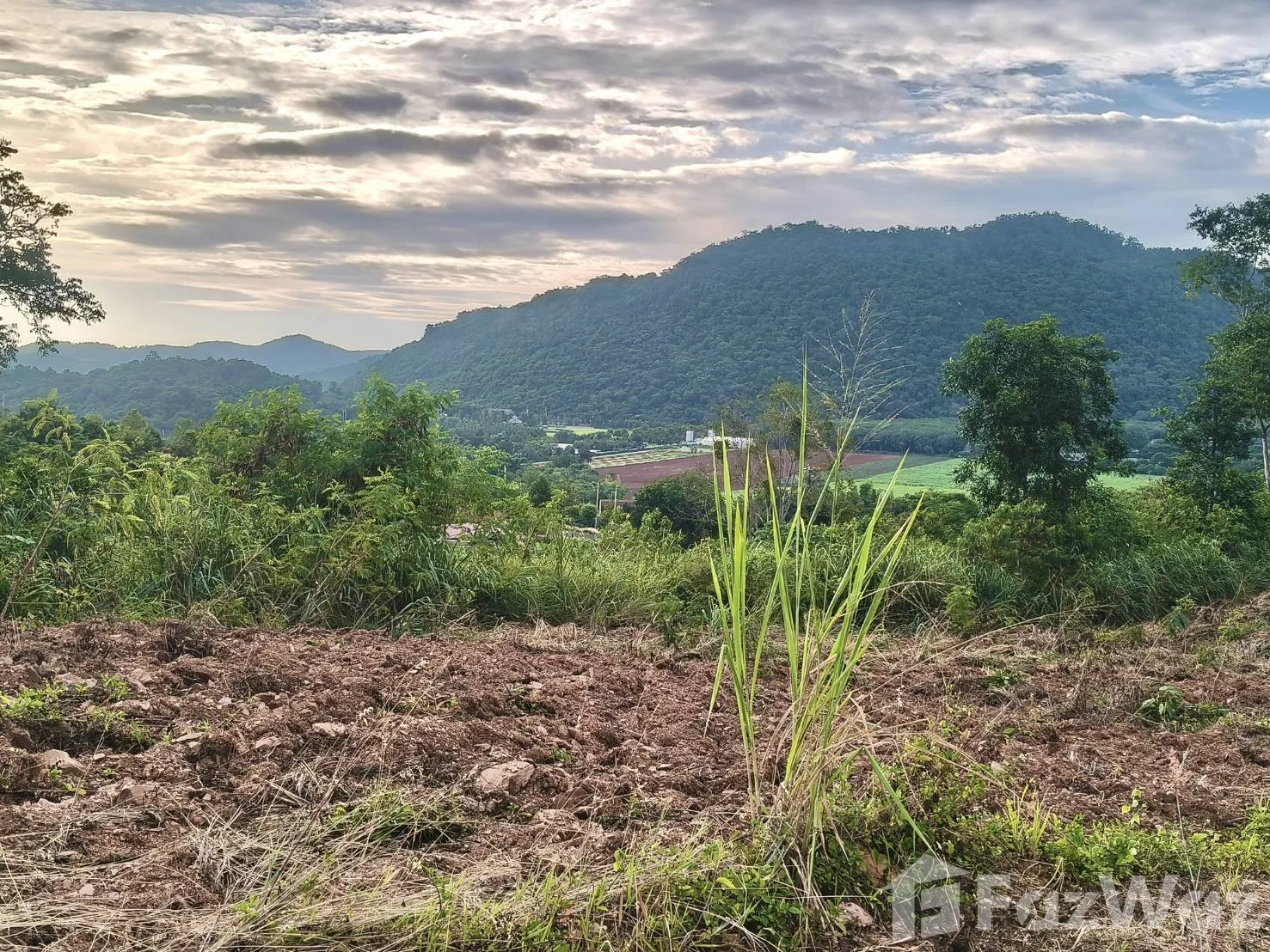 Land for sale in Pong Ta Long Nakhon Ratchasima - Photo 15