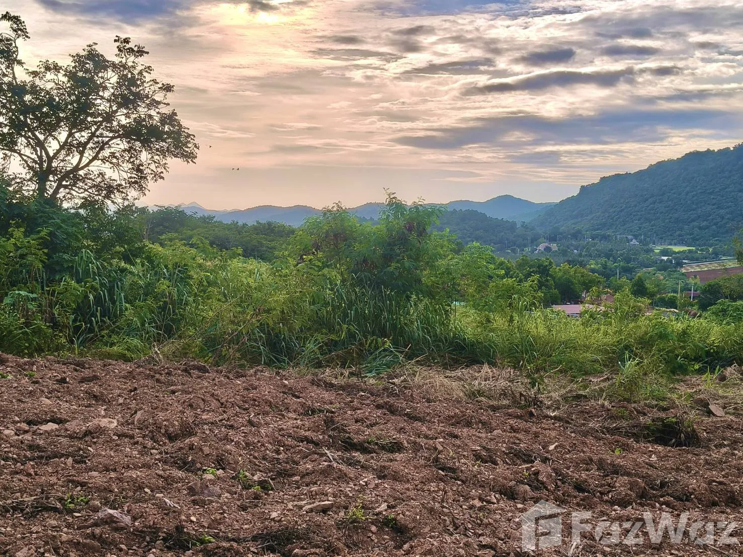 Land for sale in Pong Ta Long Nakhon Ratchasima - Photo 17