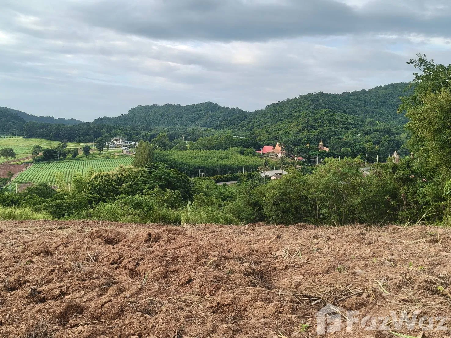 Land for sale in Pong Ta Long Nakhon Ratchasima - Photo 18