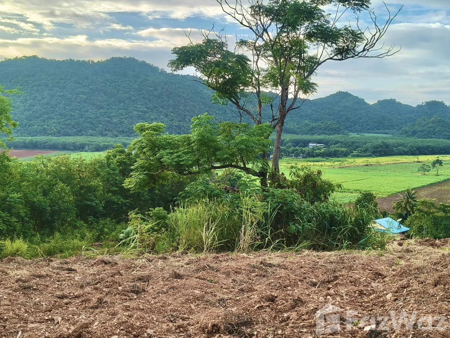 Land for sale in Pong Ta Long Nakhon Ratchasima - Photo 19