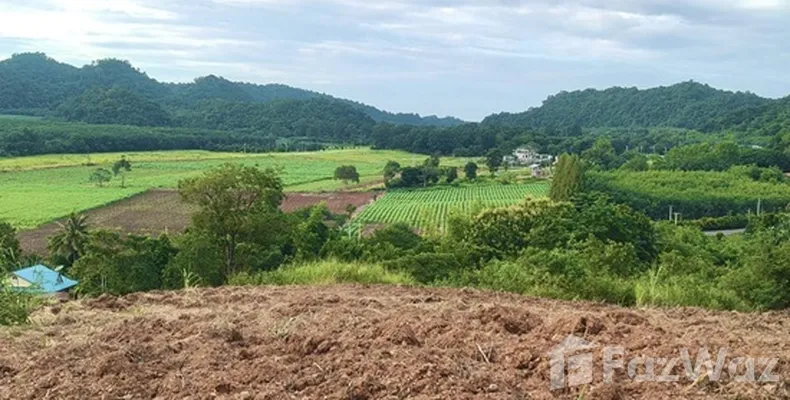 Land for sale in Pong Ta Long Nakhon Ratchasima - Photo 4