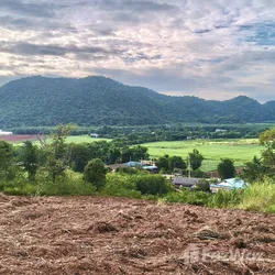 Land for sale in Pong Ta Long Nakhon Ratchasima - Photo 5