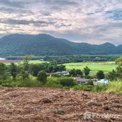 Land for sale in Pong Ta Long Nakhon Ratchasima - Photo 6