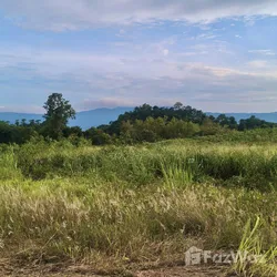 Land for sale in Pong Ta Long Nakhon Ratchasima - Photo 7