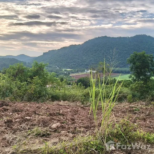 Land for sale in Pong Ta Long Nakhon Ratchasima - Photo 10