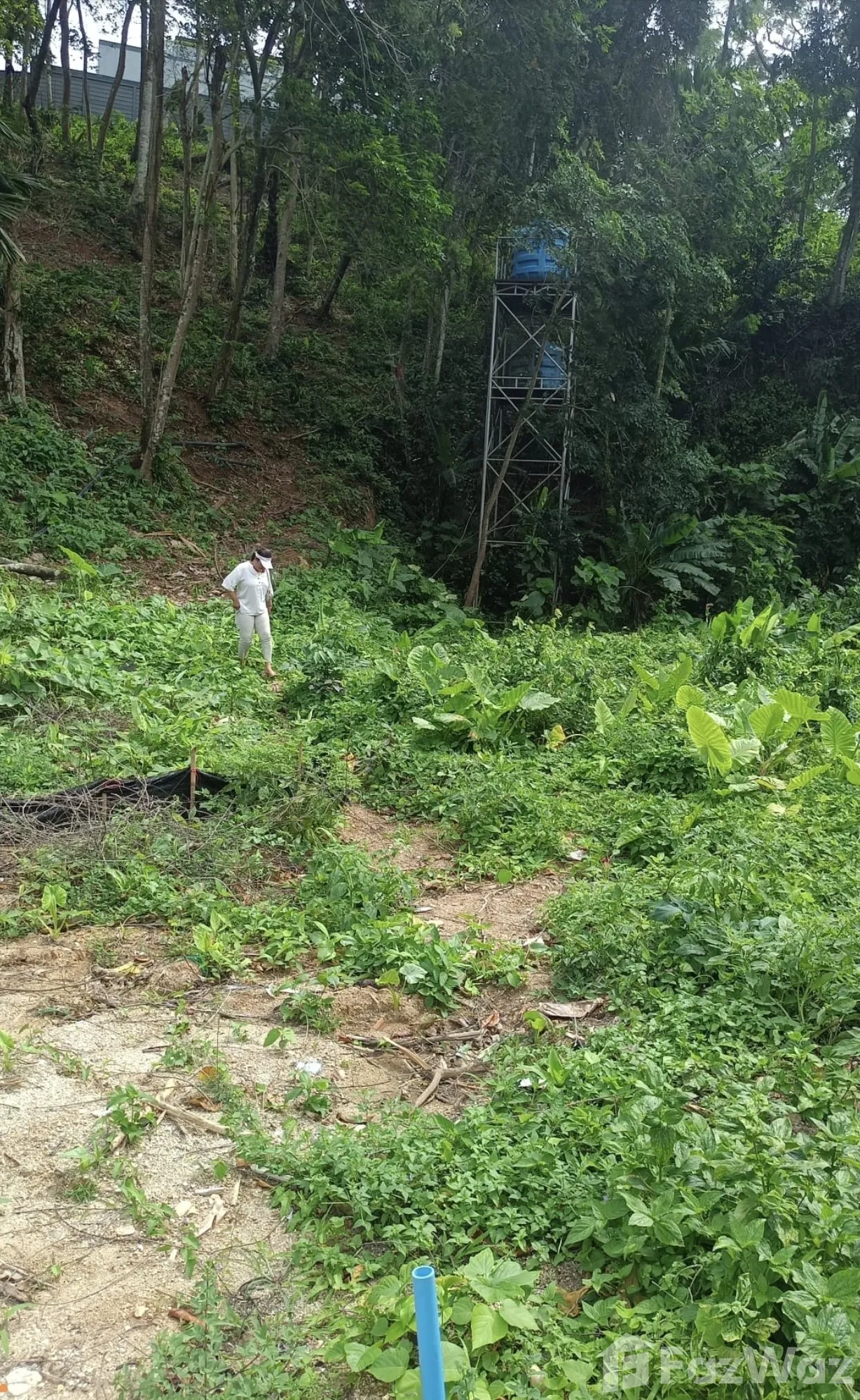 Land for sale in Choeng Thale Phuket - Photo 18