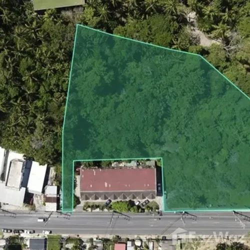 Land for sale in Choeng Thale Phuket - Photo 8
