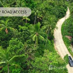 Land for sale in Koh Phangan Surat Thani - Photo 11