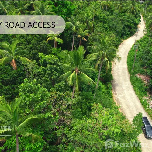 Land for sale in Koh Phangan Surat Thani - Photo 12