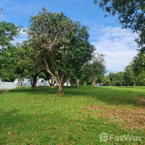 3 Bedroom Villa for sale in Huai Sak Chiang Rai - Photo 12