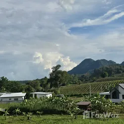 7 Bedroom Hotel for sale in Doi Hang Chiang Rai - Photo 5