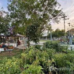 3 Bedroom House for sale in Noen Phra Rayong - Photo 11