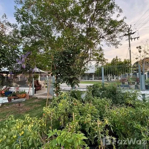 3 Bedroom House for sale in Noen Phra Rayong - Photo 12