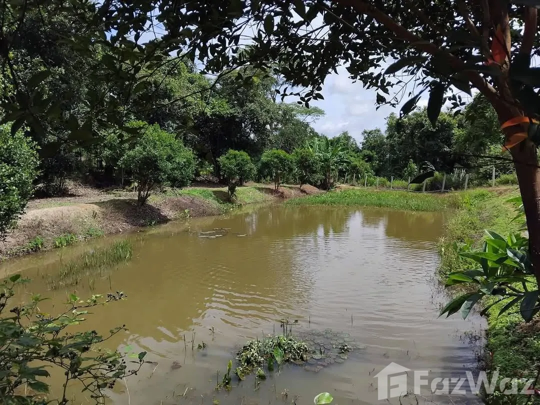 Hotel for sale in Khok Ngam Loei - Photo 20